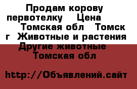 Продам корову (первотелку) › Цена ­ 45 000 - Томская обл., Томск г. Животные и растения » Другие животные   . Томская обл.